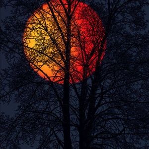 Meet your Posher, Jackson